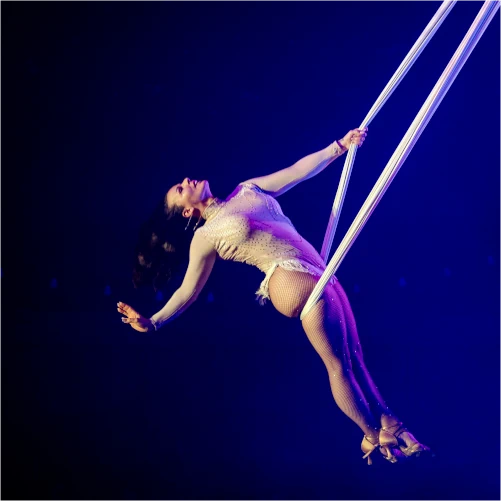 Silk aerialist