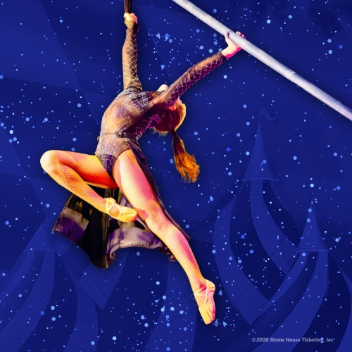 STUNNING AERIALISTS